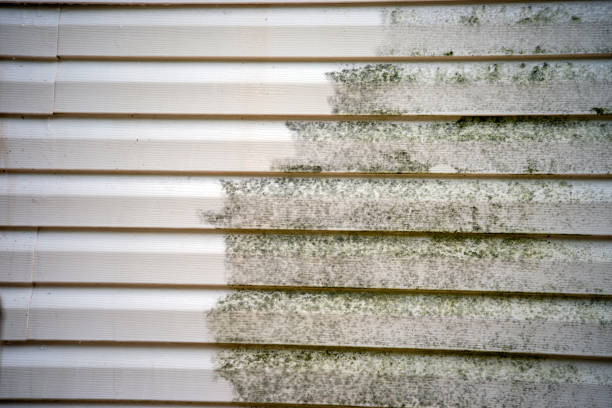 Storm Damage Siding Repair in Herriman, UT